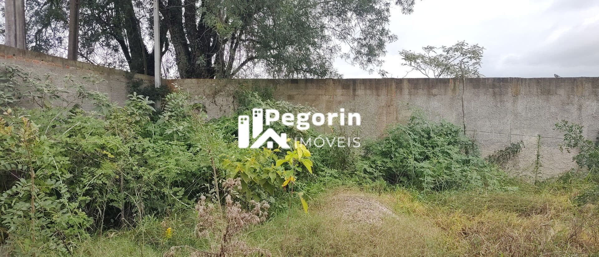 Terreno bairro Guatupê, São José dos Pinhais/PR