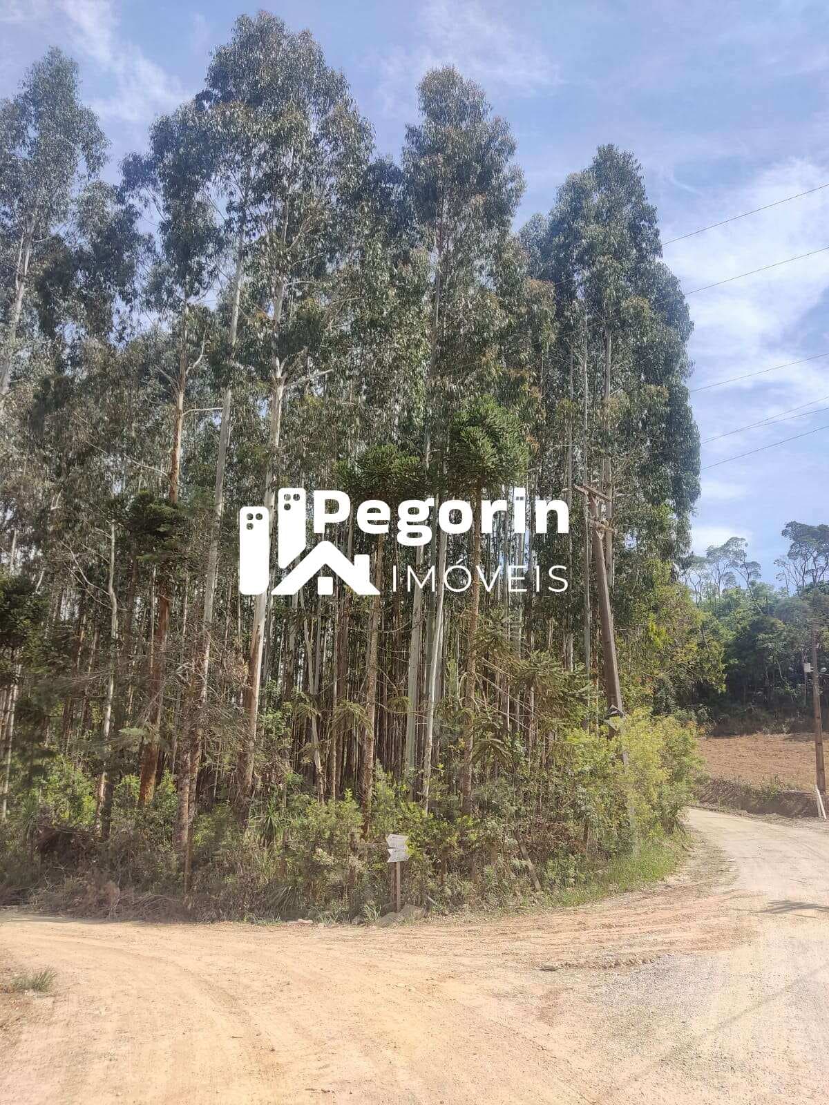 Chácara para Venda, Campo Magro / PR, bairro Hervalzinho, área total 24.397,00 m²