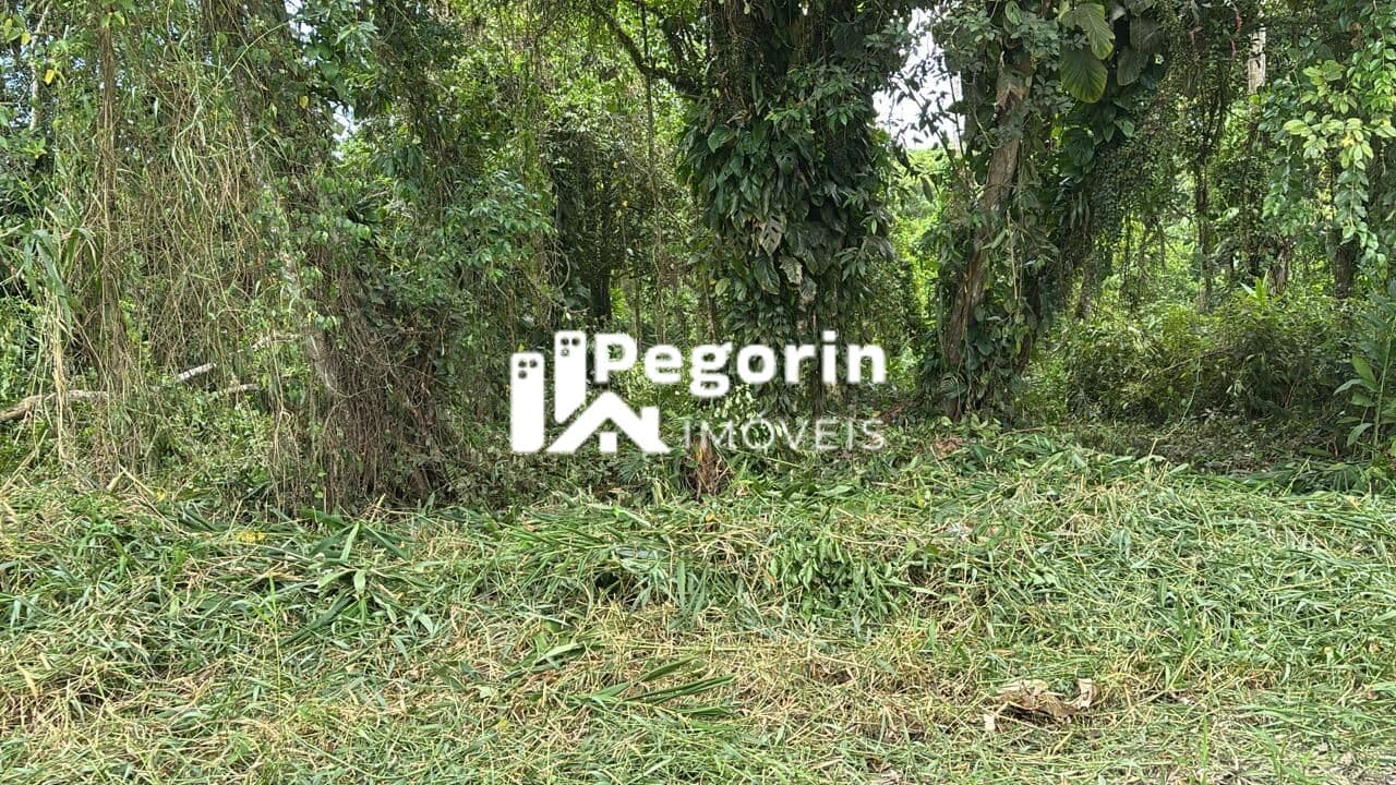 Terreno em Balneário Brandalize, Itapoá/SC