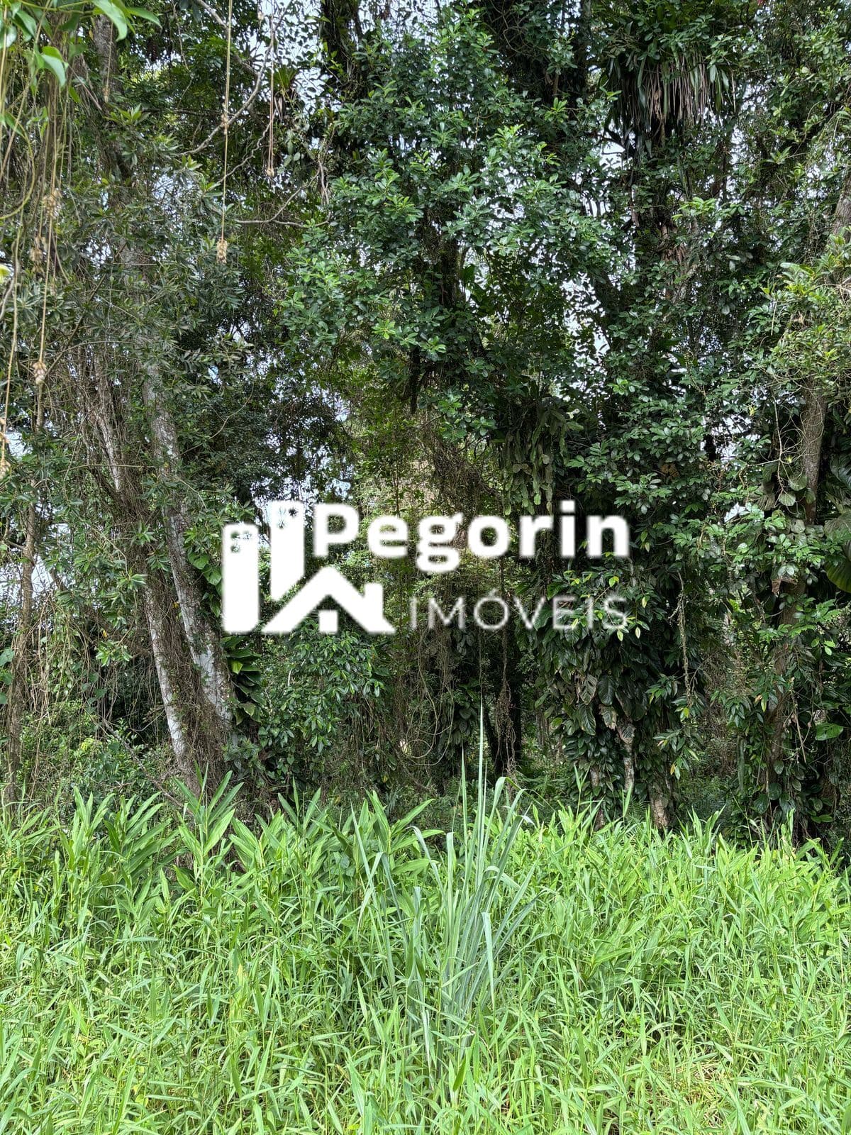 Terreno em Balneário Brandalize, Itapoá/SC